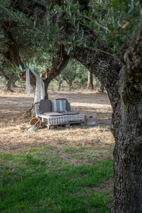 Thires Guesthouse Vasilikos  Exterior photo